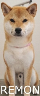20210623.jpg