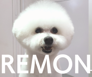 20220506_220017_0000.png