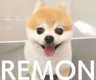 20220607_221528_0000.png