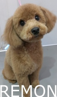 IMAG0099.jpg