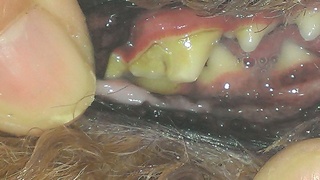 IMAG0204.jpg