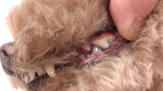 IMAG0287.jpg