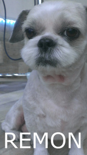 IMAG0658.jpg