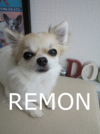 IMG_4738.png